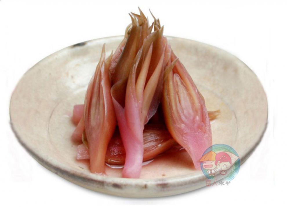 腌制阳荷姜300g莲花姜腌制阳霍蘘荷洋胡姜农家自种自腌下饭菜