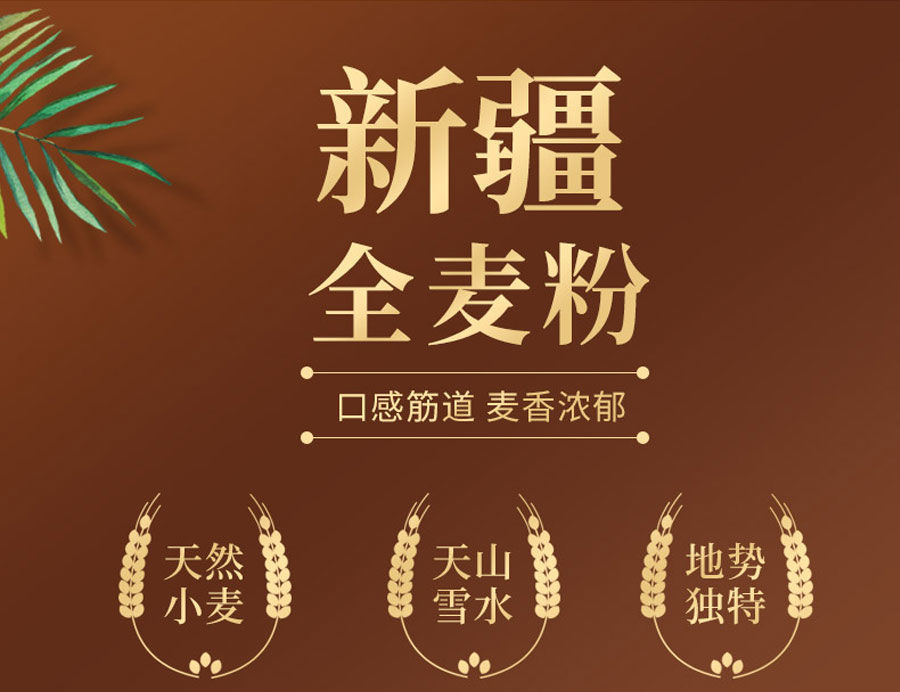 5kg面粉新疆面粉小麦粉奇.
