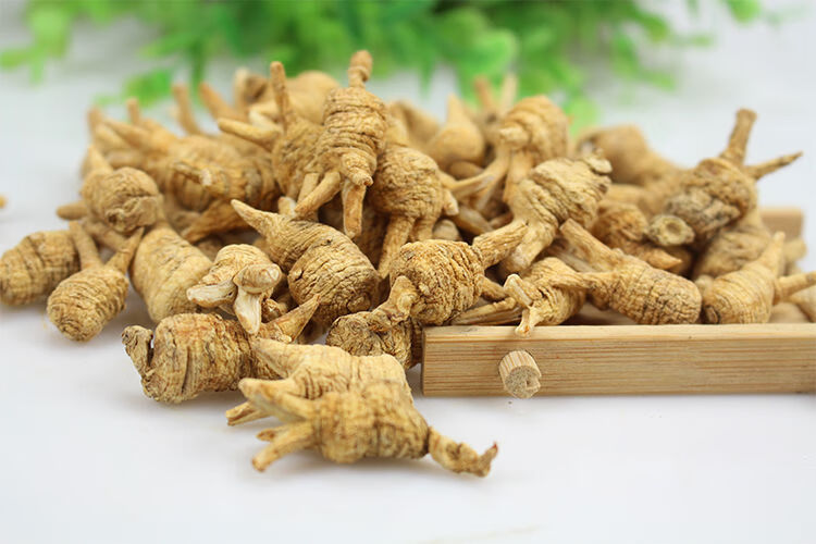 觅阳参雄茬觅阳参觅阳参大颗官方吉林长白山觅阳叁防伪50克整颗