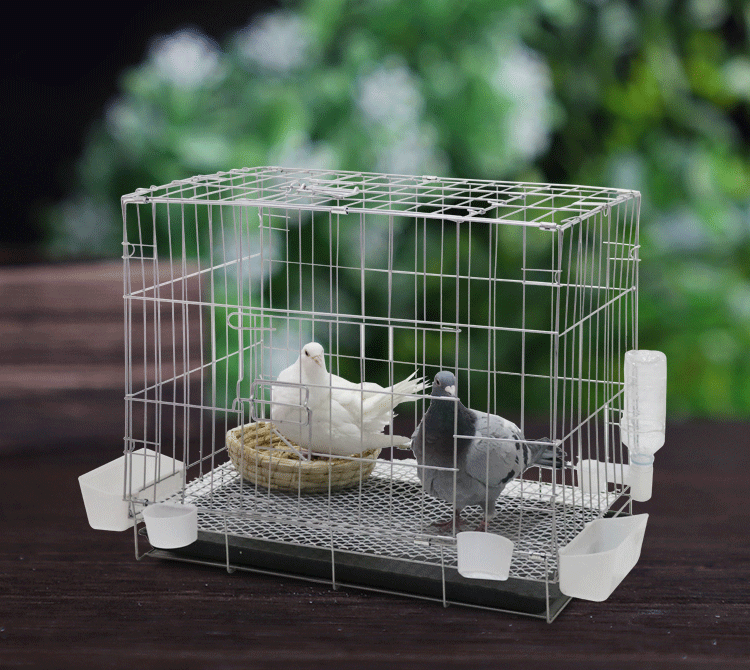 白鸽笼鸽子笼养殖笼家用带隔断配对繁殖笼大号鸽舍鸽子用具清仓折叠鸽