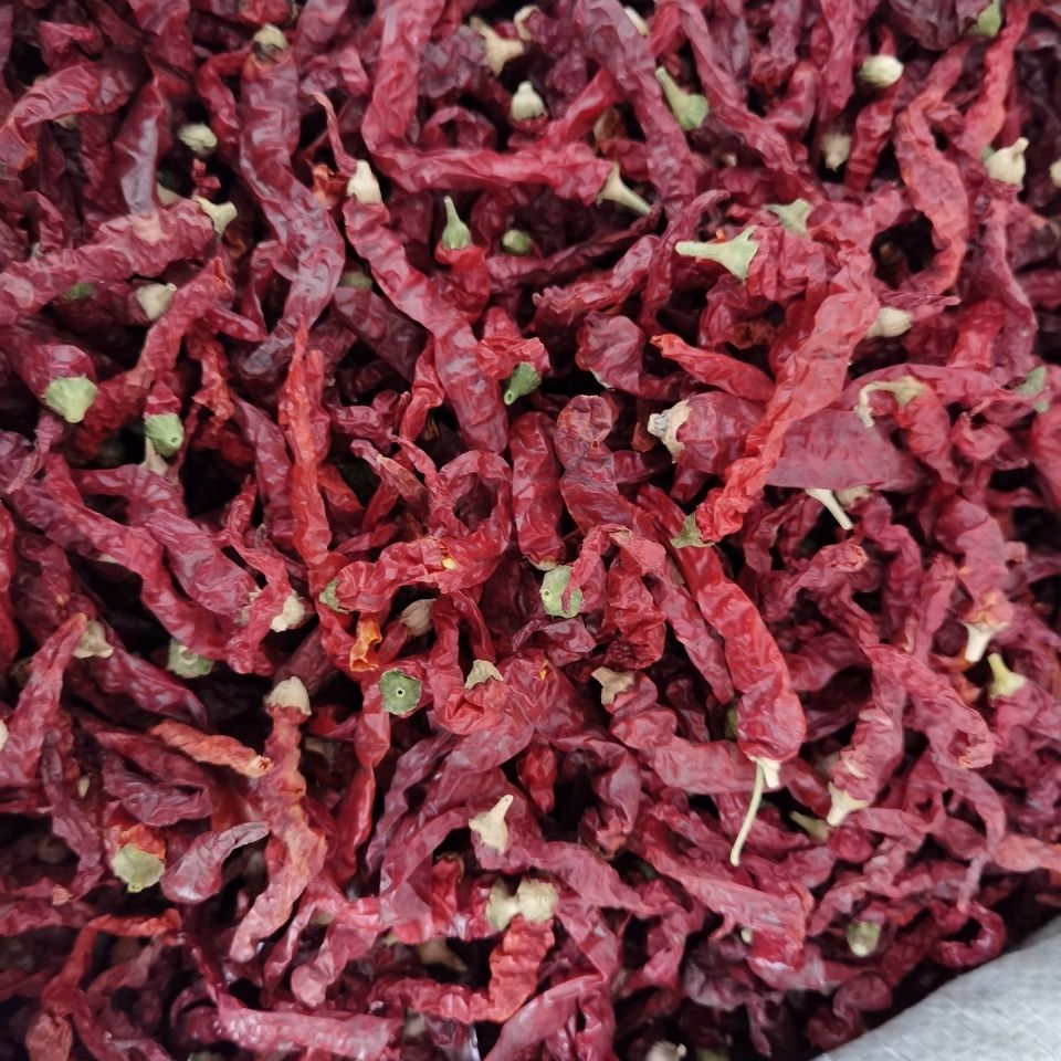 春光岛新疆线椒500g微辣特香大盘鸡辣子鸡米粉椒辣椒手工剪把深红色