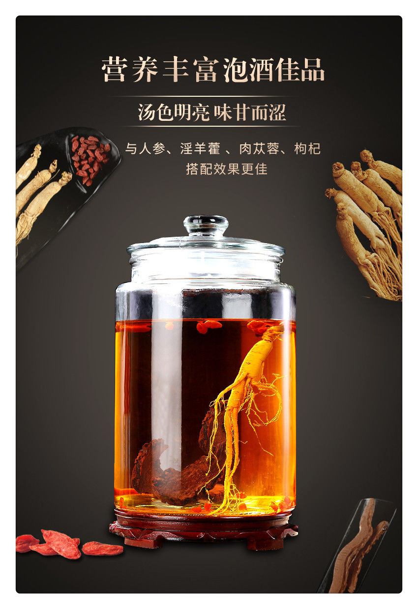 伟博蒲公英新疆特产肉苁蓉搭金锁阳玛卡片泡水淫羊藿泡酒料滋补大芸男
