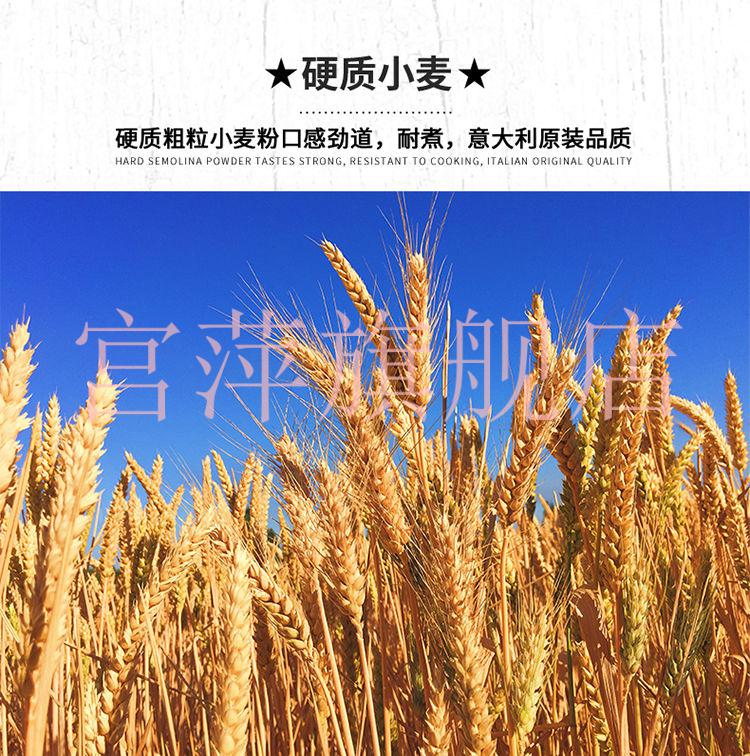 意大利面条500g意面意粉通心粉方便速食面意面酱组合250g意面酱黑胡椒