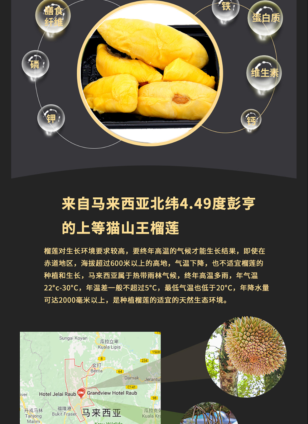 晨木鲜生 马来西亚猫山王榴莲肉d197液氮锁鲜榴莲肉 400g单果肉独立