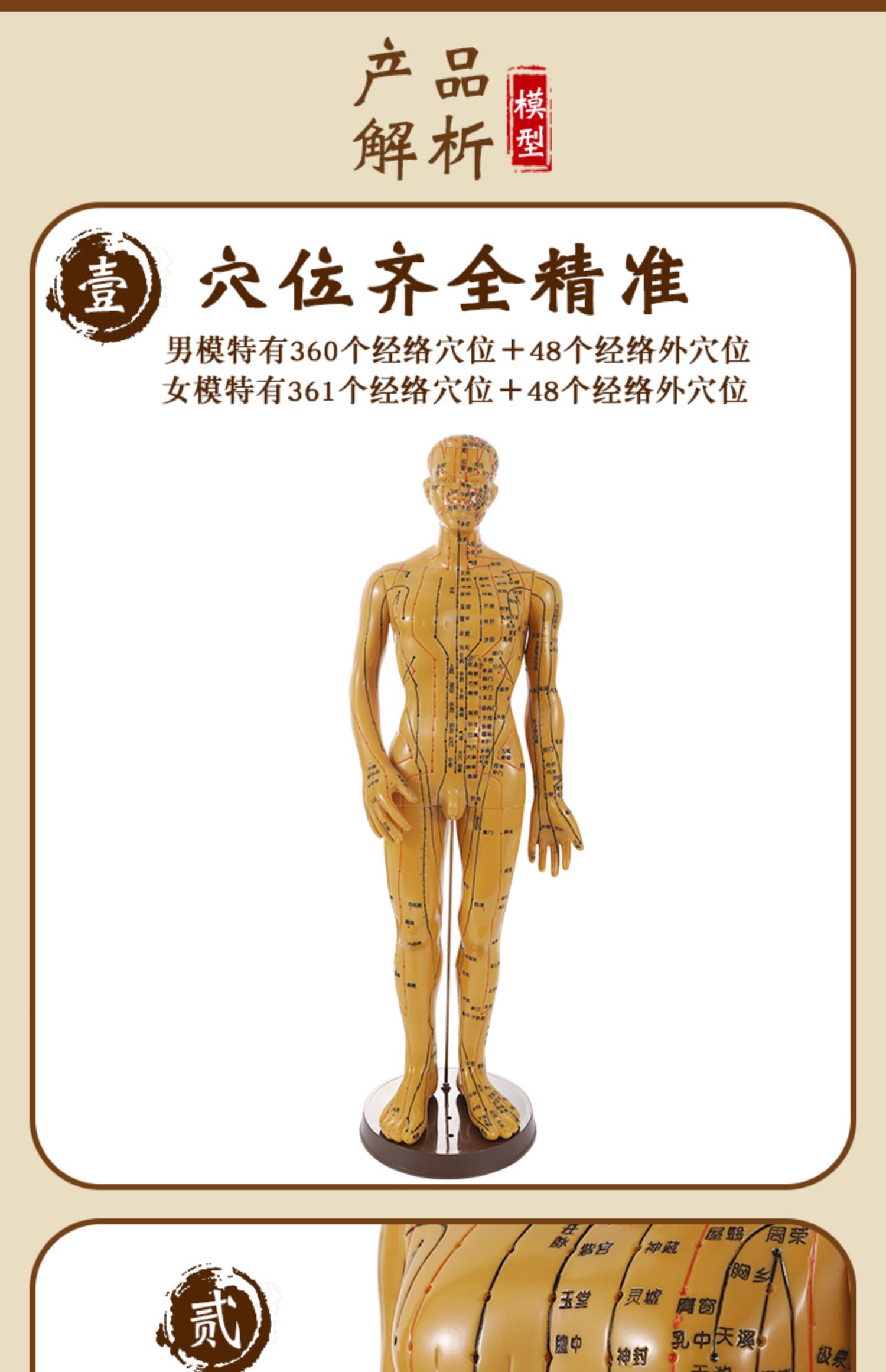 中医针灸练习人体模型人偶医学全身十二经络图扎针穴位小皮人模特 52