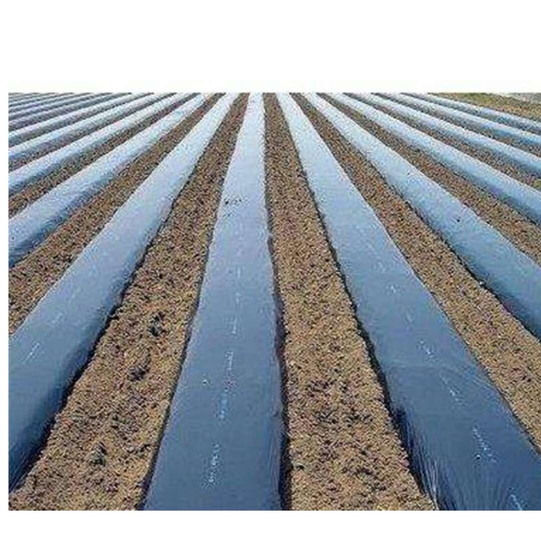 多瑙梦黑色除草保温膜草莓种植农用膜果树专用银黑地膜农用白色保温膜