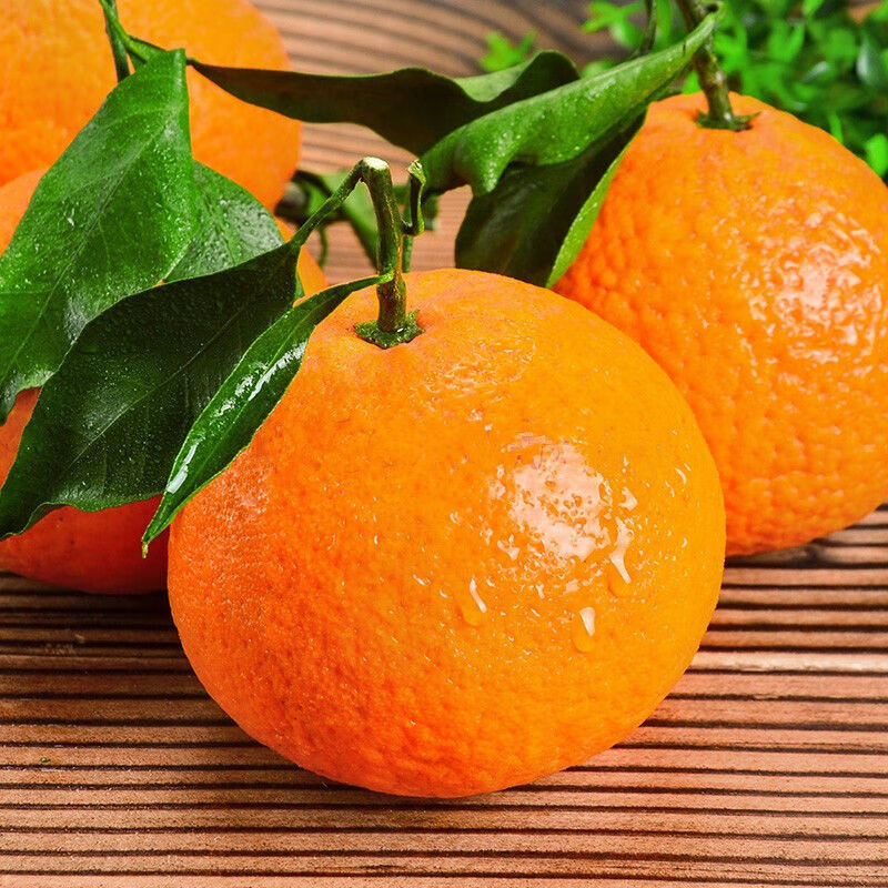 四川眉山青见果冻橙柑橘皇后春见耙耙柑不知火应季孕妇水果 (爆甜)