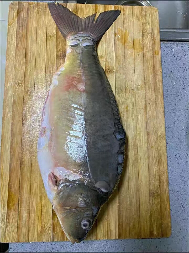 lism顺丰东北土特产冷水三道鳞锂拐子无鳞鱼新鲜整条鲜活宰杀速冻