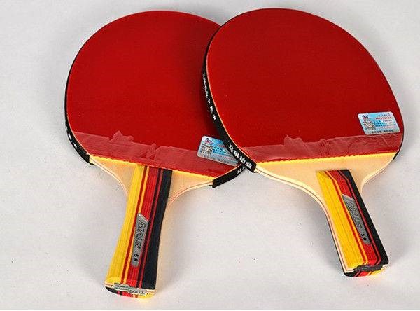 乒乓球拍 马琳乒乓球拍五星5星成品拍横拍直拍ppq乒乓球拍双反胶 5006