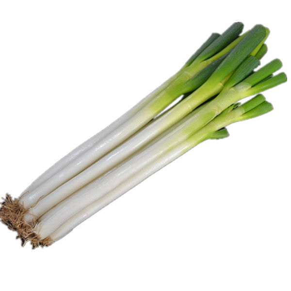 五斤新鲜去叶铁杆大葱 农家自种大葱 葱叶葱段 高白 新鲜蔬菜 5斤小细