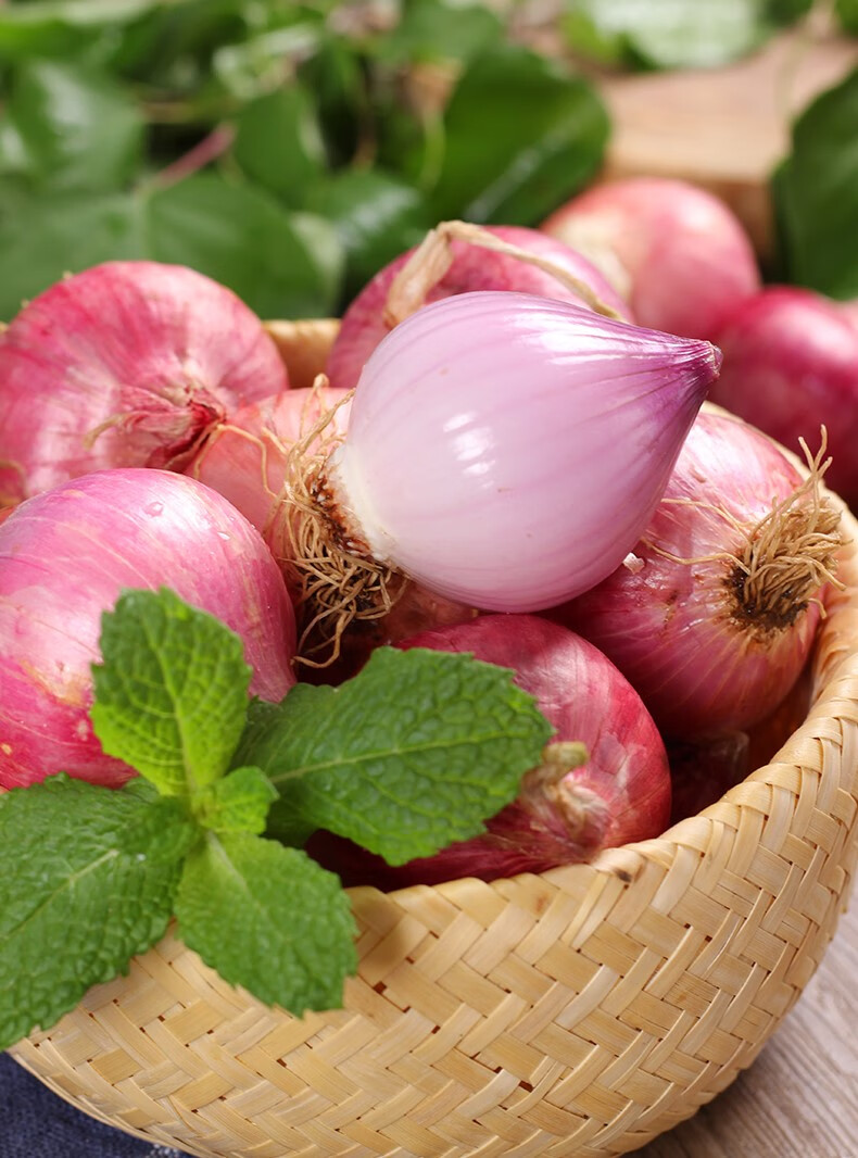 媚调 东北毛葱头农家特产新鲜5斤小洋葱头迷你圆红葱头2022新葱上市
