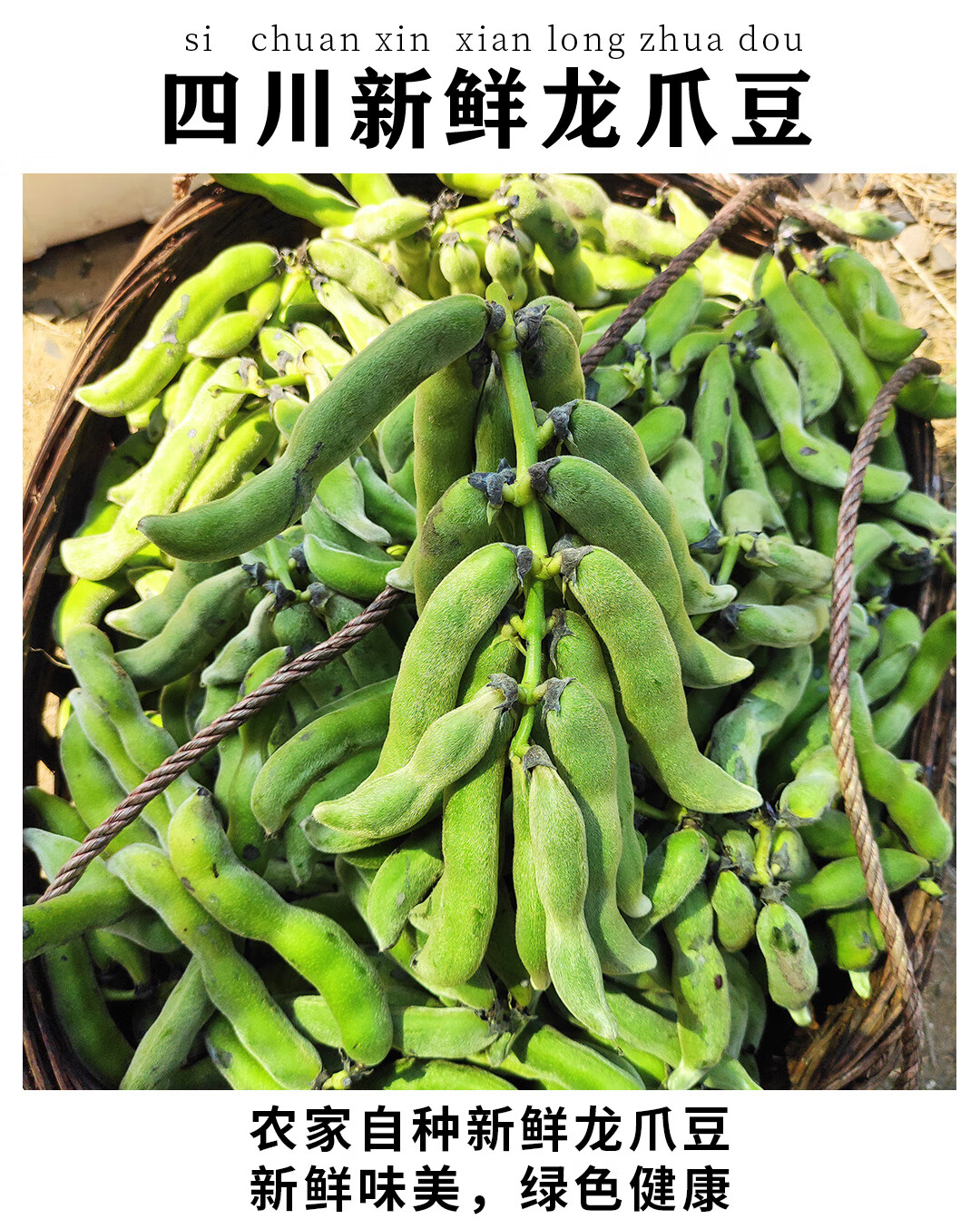 新鲜狗儿豆 龙爪豆 狗爪豆 农家自种狗仔豆 猫猫豆 3斤新鲜带壳【图片