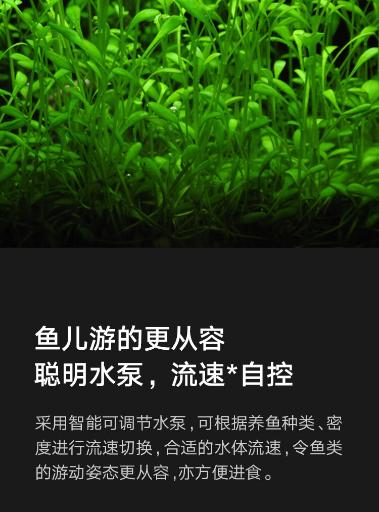 fd56a9c8fbcccd38.jpg