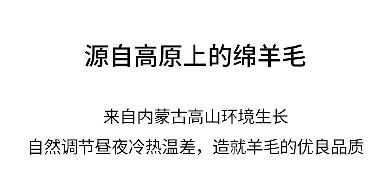 BASIC HOUSE百家好氛围感围围巾外套驼绒冬骆2024巾领双面羊毛大衣女2024冬骆驼绒外套 深灰色 M（有围巾）详情图片9