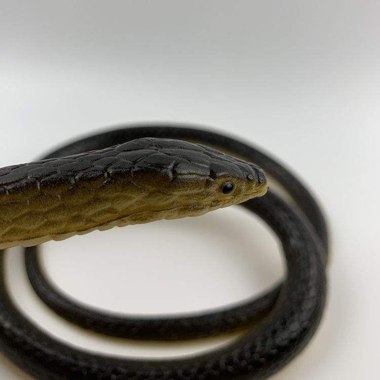 假蛇仿真的大号长塑料动物吓人恶搞怪整蛊道具神器儿童玩具蛇软胶品质