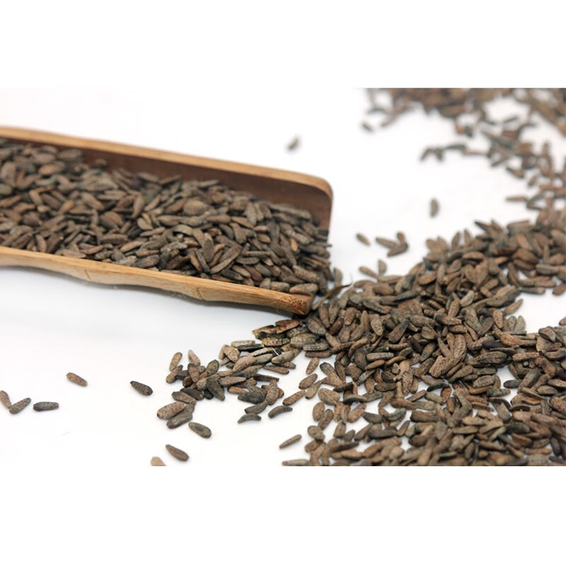 汇茸堂中药材新货正宗牛蒡子野生500g牛蒡子茶大力子牛旁子牛膀子粉