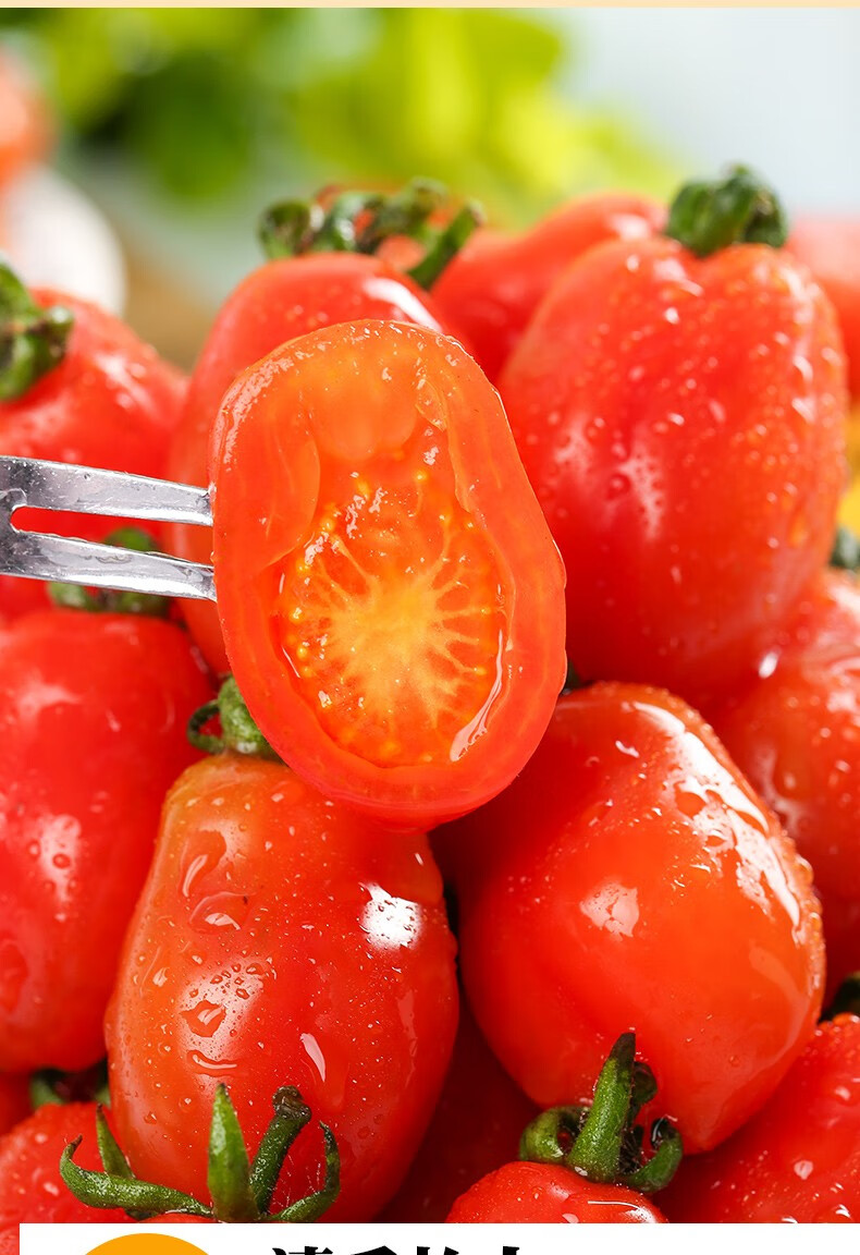 花生小番茄丹东特产新鲜小番茄水果小柿子圣女果草莓柿子孕妇 精选三