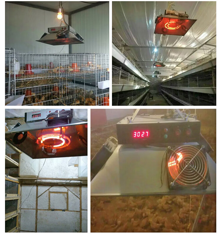 牧多邦育雏保温器全自动育雏保温伞小鸡加热伞加热器取暖灯养殖设备