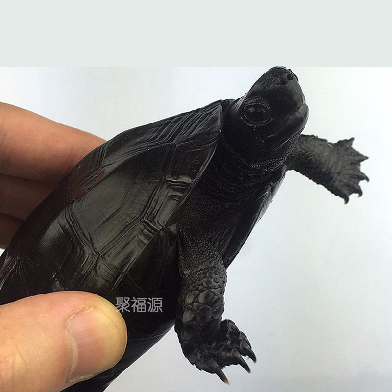 墨龟活体国墨龟全黑墨龟极墨墨龟苗长寿龟宠物活体墨