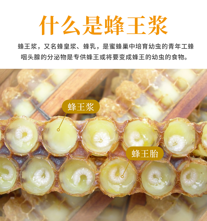 王巢蜂王浆纯正新鲜油菜花蜂王浆450克