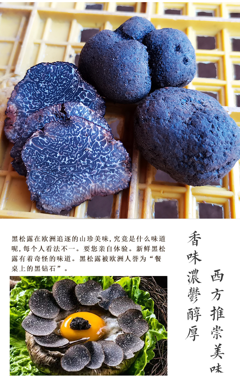 5折现货新鲜野生黑松露猪拱菌块菌云南香格里拉特产蘑菇成熟黑色味道