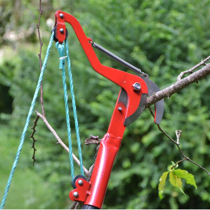 智航伸缩高枝剪摘果器高空剪刀树枝剪刀高空修枝剪刀修剪树枝园林工具