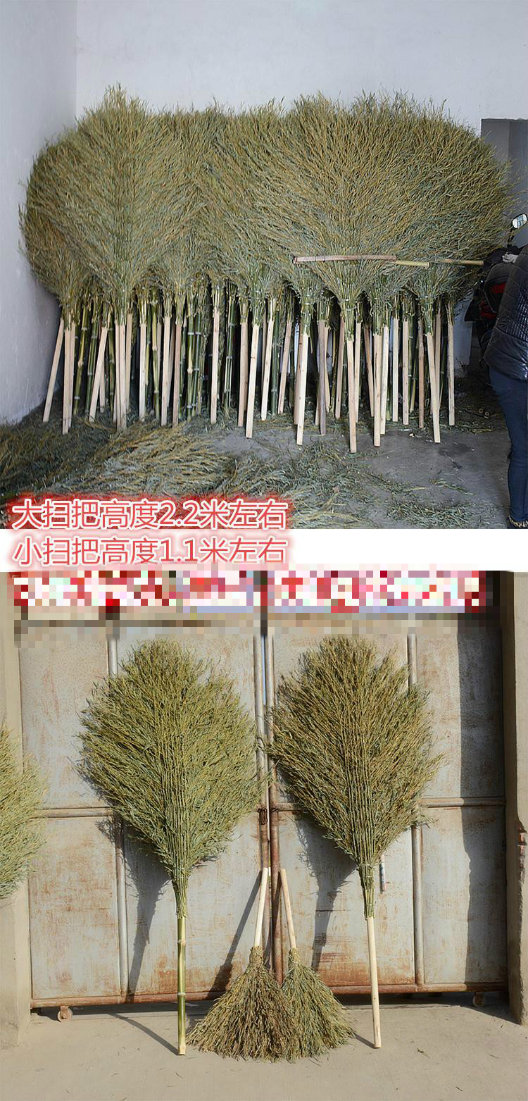 卫洋扫马路扫把环卫工大扫把纯手工竹扫帚扫院子清洁工家用小扫帚