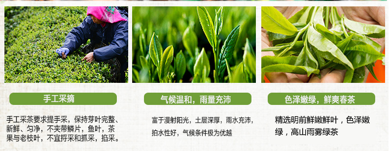 稀世宝2021恩施硒茶毛尖新茶嫩芽正宗明前特级富硒蒸青高山绿茶炒青
