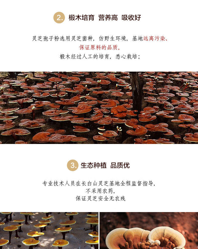 b8c0e88510c5f95f.jpg