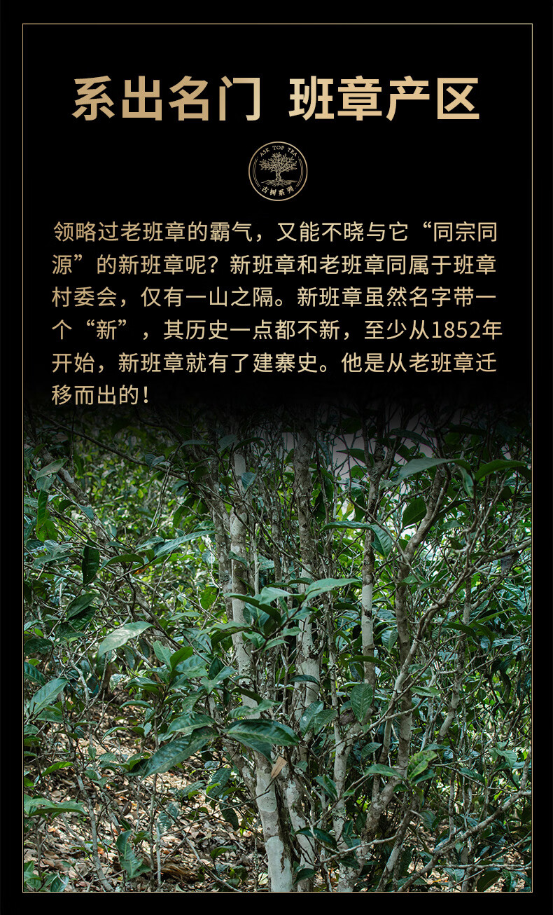 古树茶新班章普洱茶生茶原产地直销布朗山老班章礼盒装问顶旗舰店