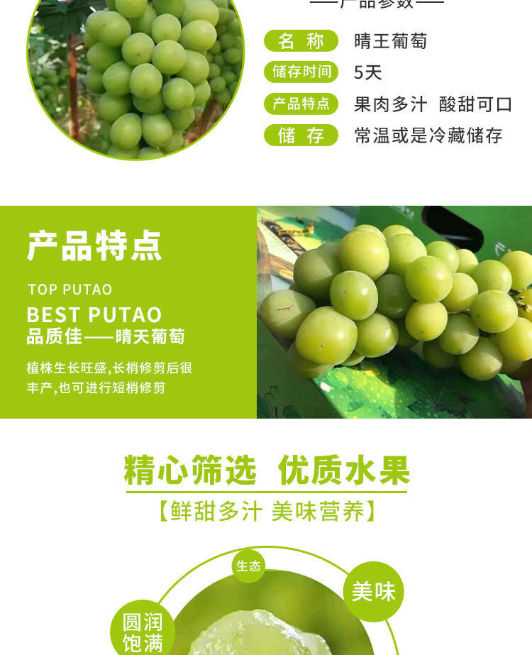 顺丰空运日本品种晴王阳光玫瑰葡萄当天青提香印特级无籽整串精选大果