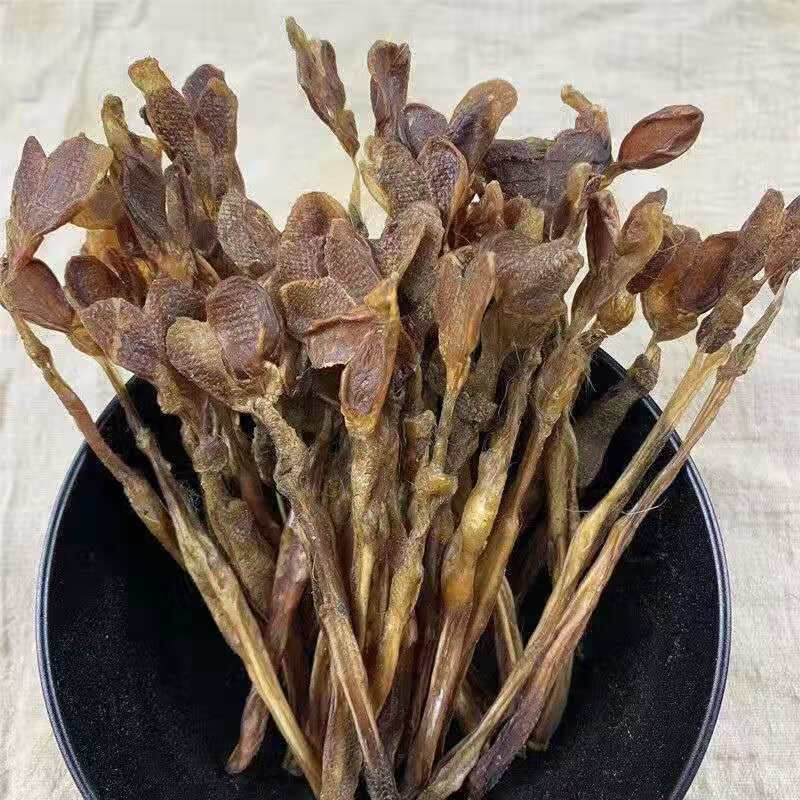 狐狸鞭一条中药材泡酒原料男性滋补驴鞭耗牛鞭蛇干货打粉 狐狸鞭10条