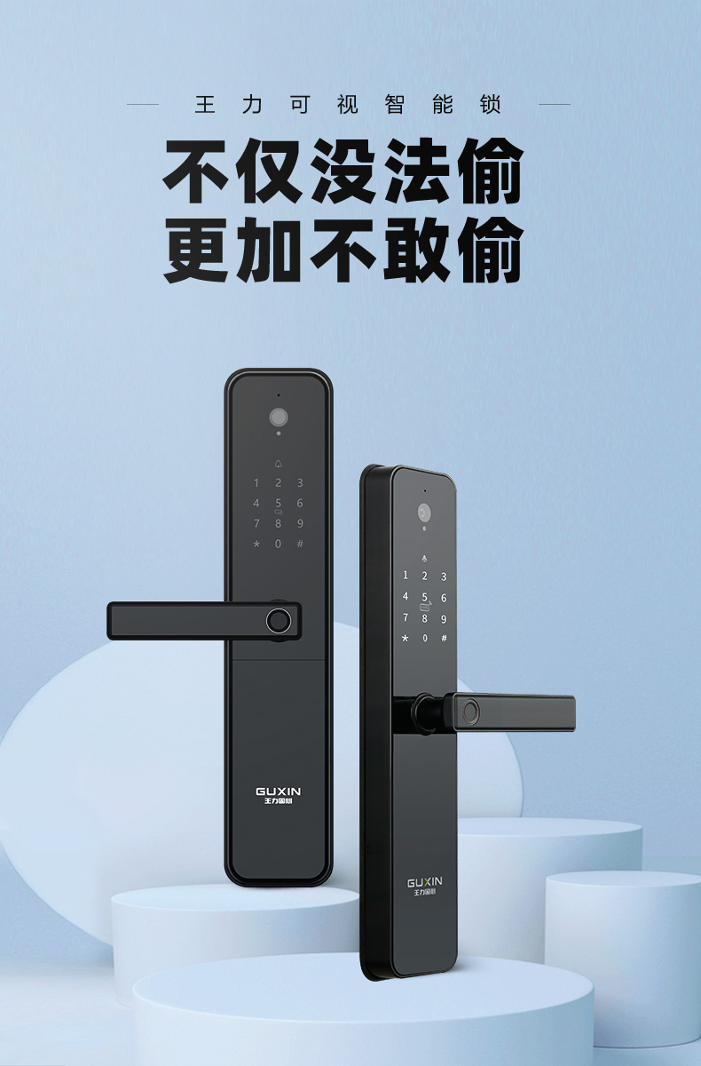 wl王力智能锁指纹密码锁家用安全防撬摄像头可视猫眼电子门锁xc200特