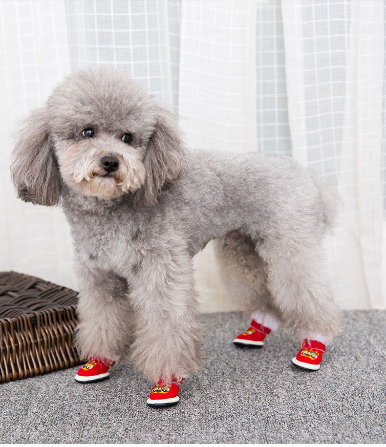 嬉皮狗hipidog狗狗鞋子宠物虎头唐鞋一套4只泰迪比熊脚套小型犬冬季