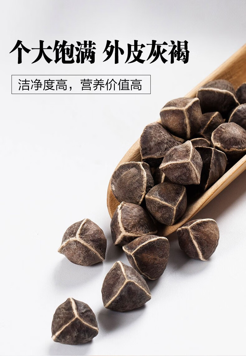 辣木籽野生特级功效辣木大颗粒天然500克罐装颗粒饱满密封辣木籽功效