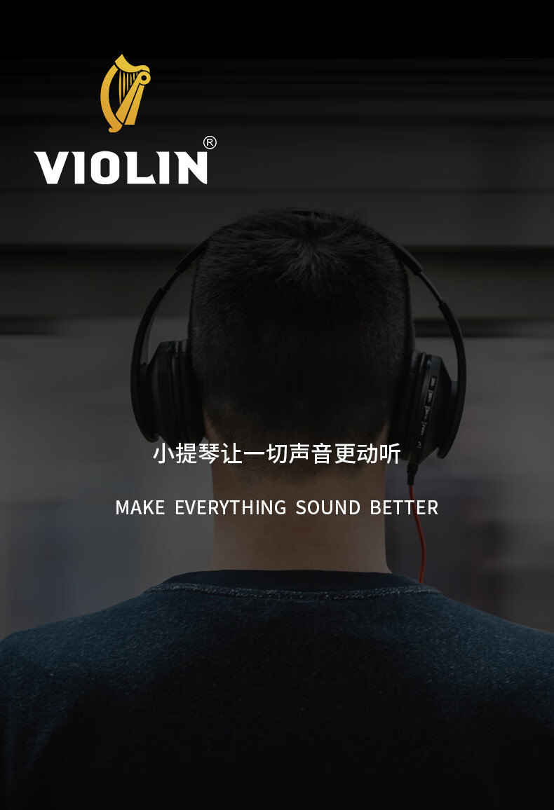 汽车音响德国violin小提琴va10dt有源10寸箱体低音炮车载改装大功率超