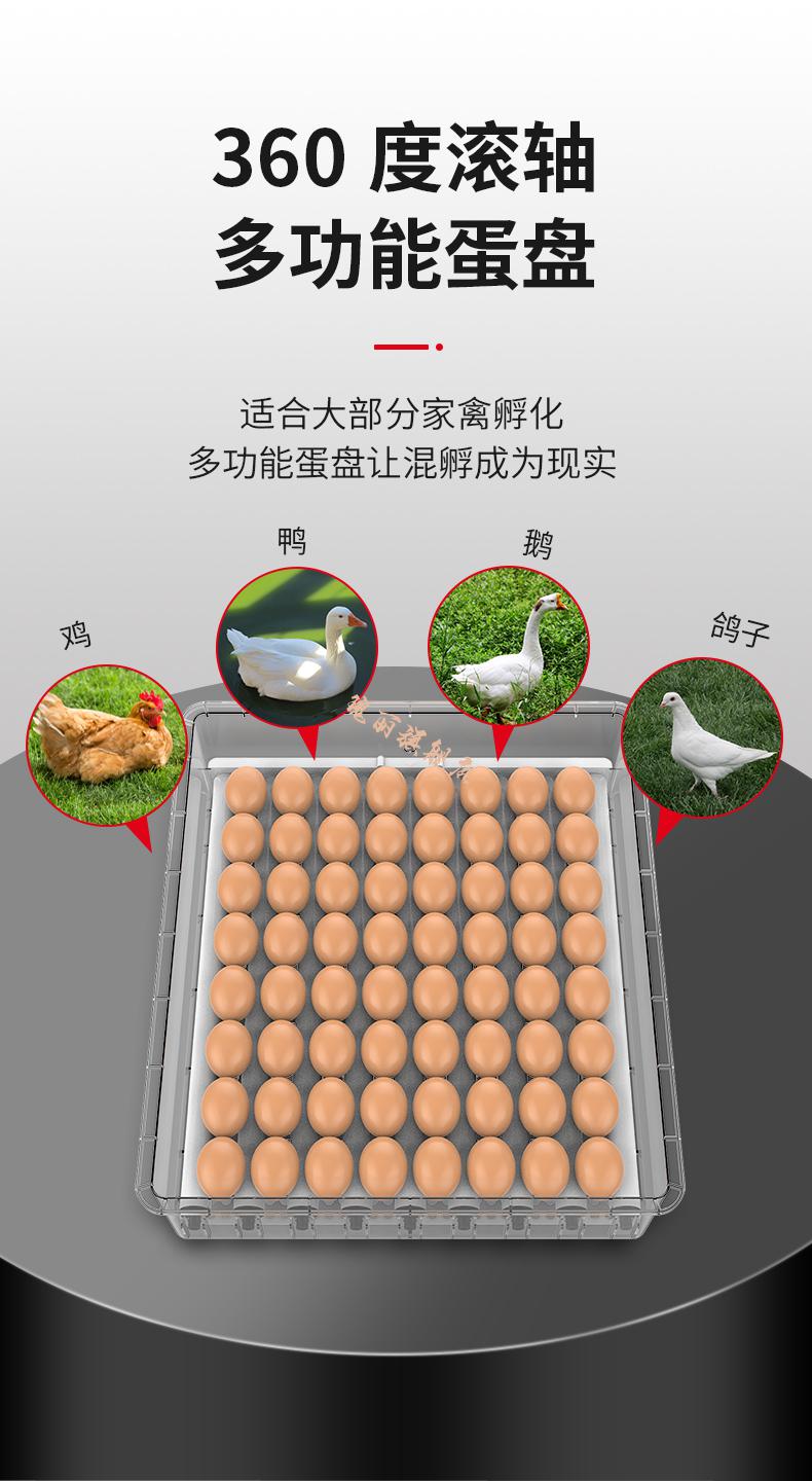 鵝蛋孵化器全自動維謙孵化器孵蛋器小型家用型全自動智能小雞鴨鵝蛋