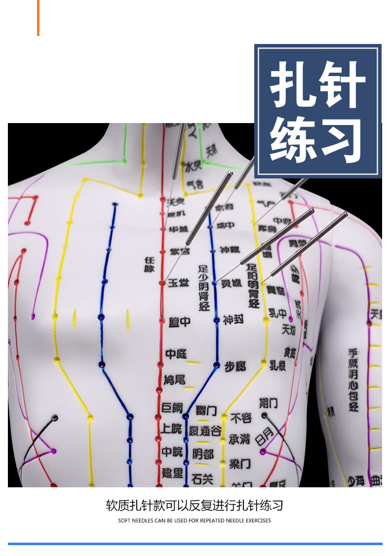 人体针灸模型经络穴位中医全身十二铜人模特图小人扎针练习小皮人彩色