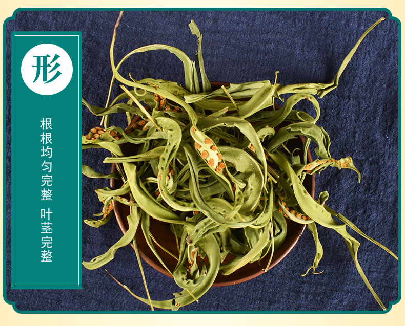 草长白山特产肾精草别名肾精茶 野生肾经草肾经茶中药材 50g一袋