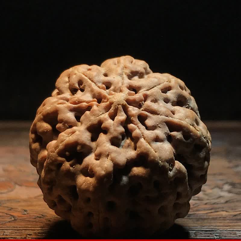 789瓣爆肉蜂王大金刚菩提手球保健球手转球核桃文玩老年手串把件蜂窝