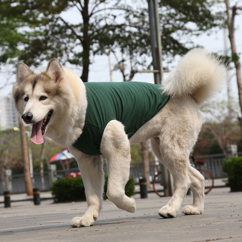 狗貓咪衣服小中大犬寵物用品棉質背心泰迪法鬥背心灰藍色5xl胸圍80背