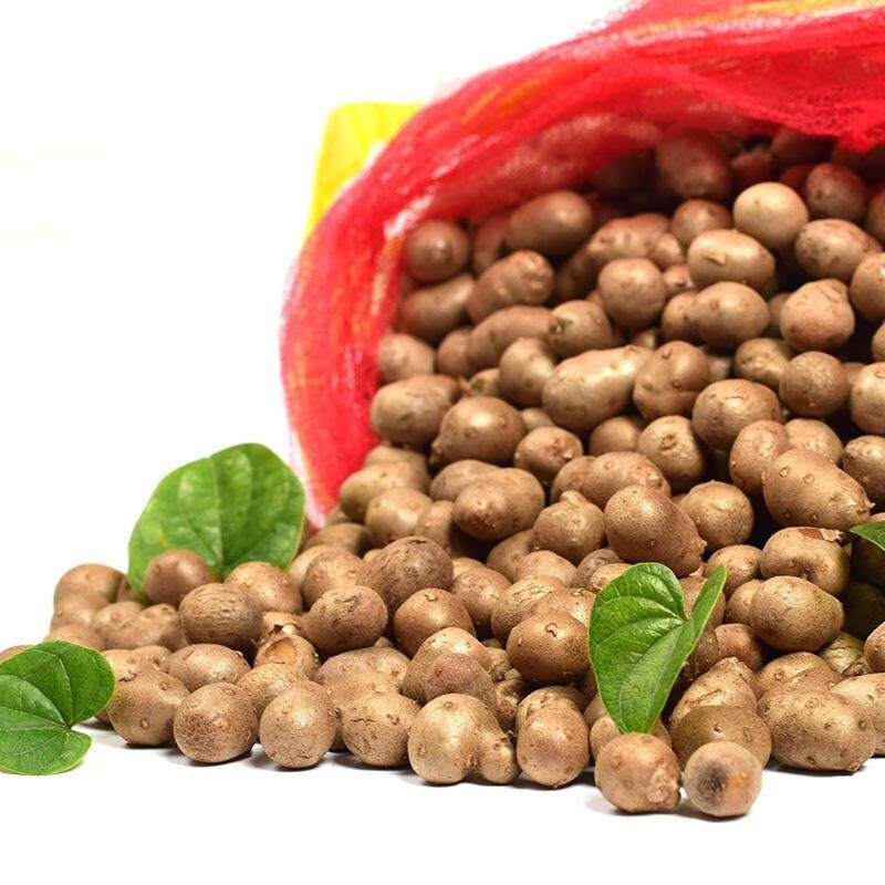 222现摘铁棍山药豆大号1-5斤蛋新鲜 批发子 山药豆(5斤) 精选装(店家