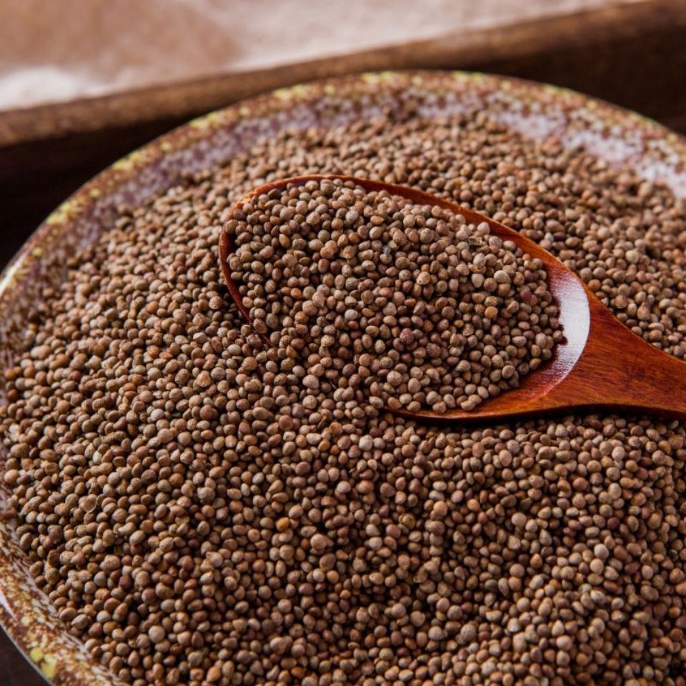 紫苏子粒食用苏子粒生紫苏子小苏子熟紫苏新货紫苏子中药材生鸟食榨油