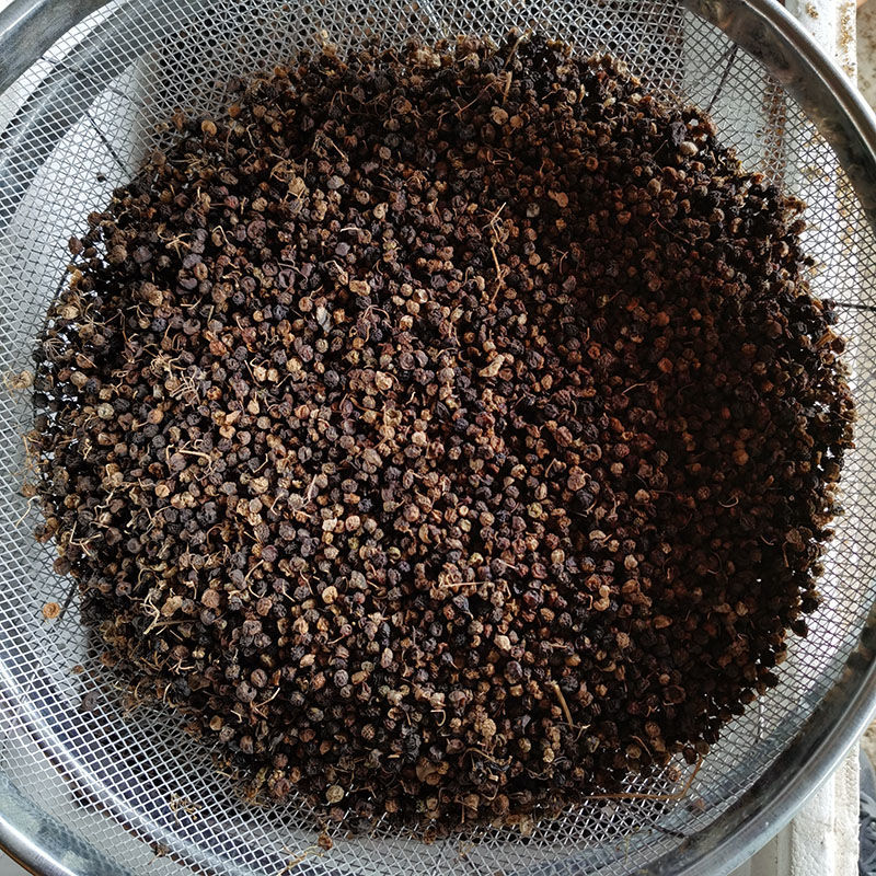 龙葵果干东北龙葵子中药材野生干龙葵果实天茄子野葡萄悠悠无添加 干