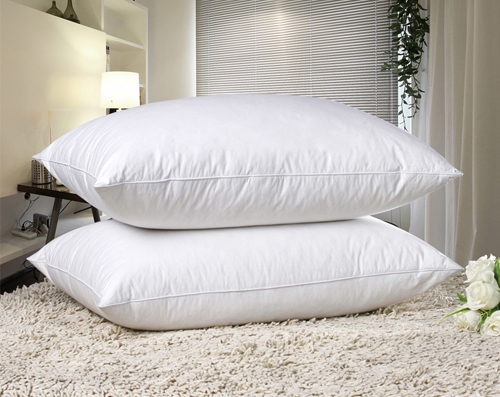 优选好物谷子壳枕谷瘪子秕子秕谷枕头秕谷枕芯谷秕子小米壳填充物4070