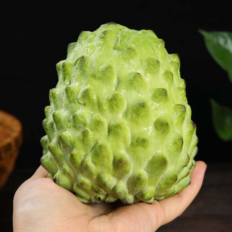 释迦摩尼孕妇水果 年 500g 实惠中果(广东果园种植)【图片 价格