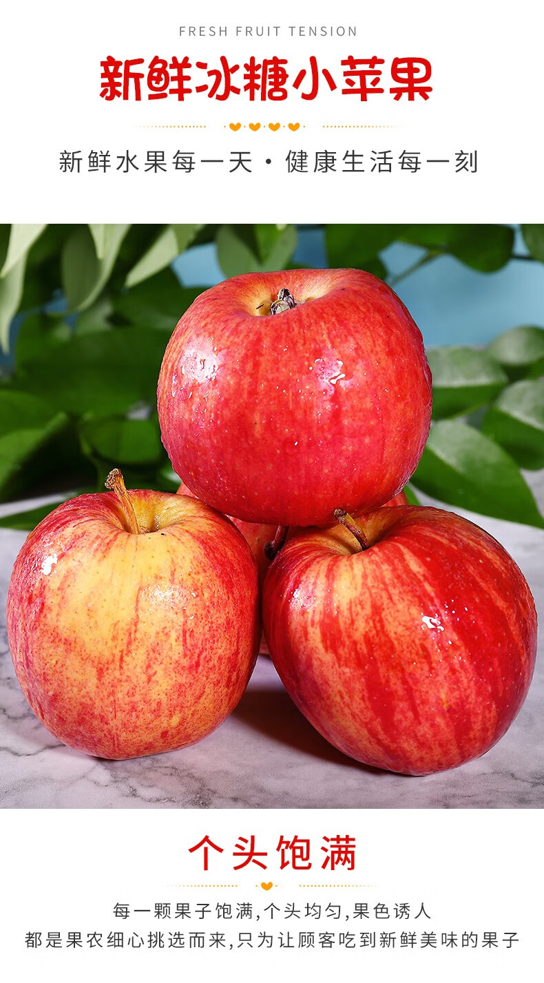 南非冰糖小苹果20个gala果进口加力果姬娜果孕妇脆甜新鲜水果 10颗