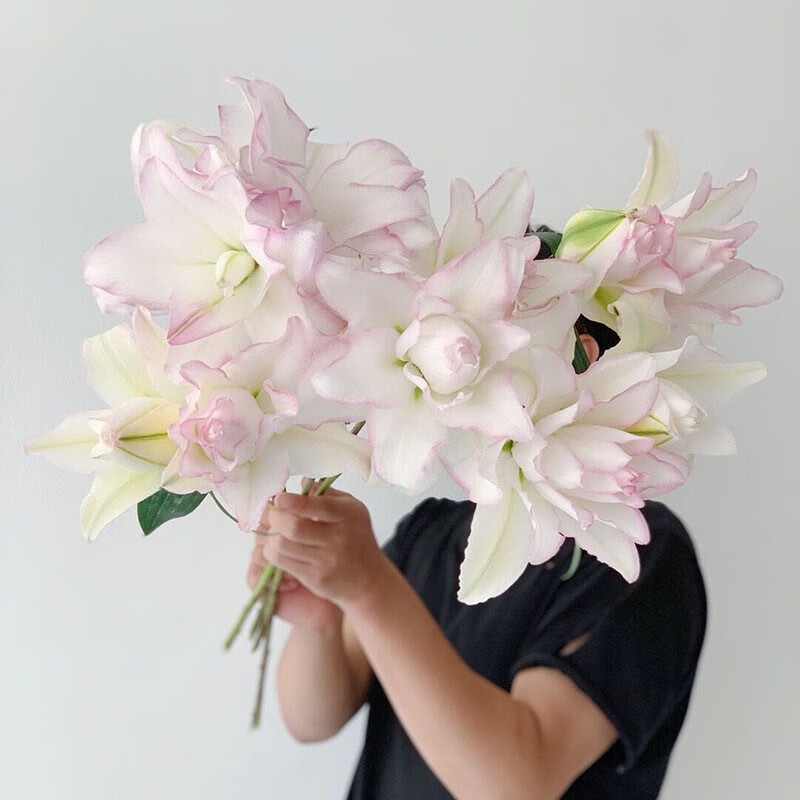 百合界的甜蜜约会重瓣百合鲜花云南直发插花水养绝顶品质 新农场白雪