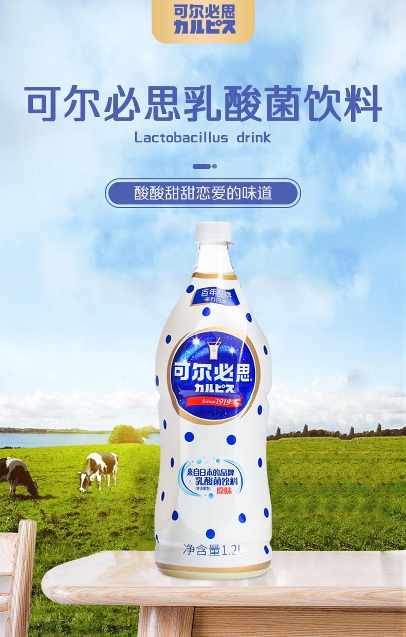 calpis可尔必思乳酸菌饮料日式原味浓缩汁发酵型1.