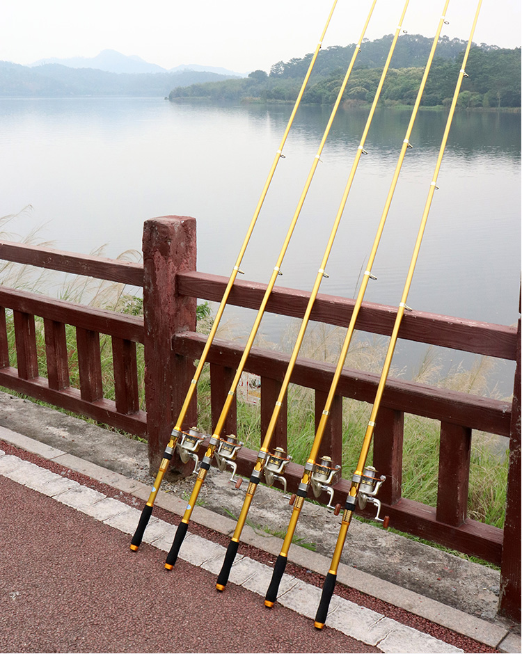 时利和 海竿海杆抛竿远投竿超硬碳素钓鱼竿海钓竿甩杆抛杆鱼竿全套装